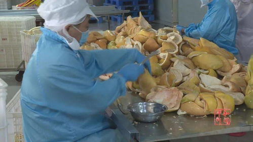 蜜柚深加工 延伸蜜柚產業鏈 提高產品附加值