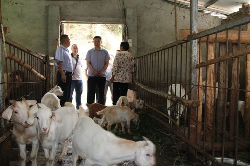 支部結對 1 1 ,引領發展更給力