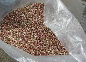 不缺市場的小工廠項目有哪些 小工廠項目發展前景好嗎