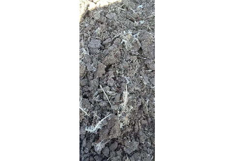 遵化供應蘋果專用有機肥加工廠