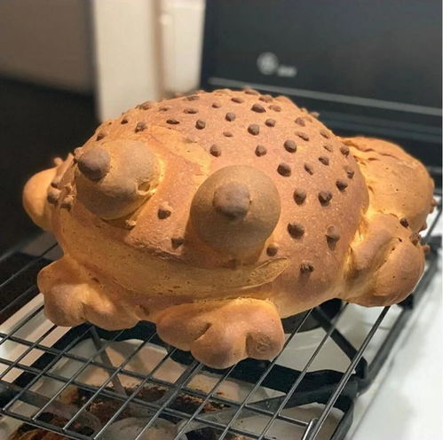 第一眼容易看錯的圖片 想歪的自覺去面壁