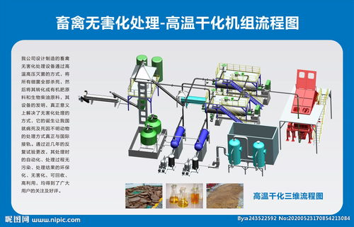 畜禽無害化流程圖圖片