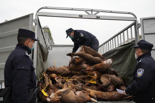 重慶警方 上半年破獲食藥環及知識產權案件868件