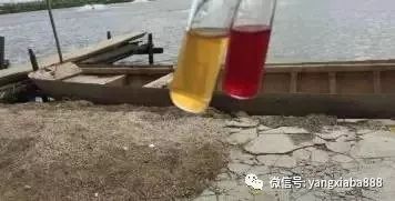 池塘養殖中,水質指標如何判斷