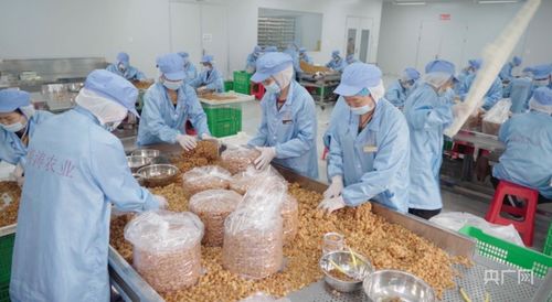 廣西積極推進縣域商業體系建設 央廣網