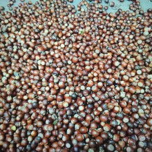 淅川上集鎮(zhèn)東川橡子購銷門市部 供應產品