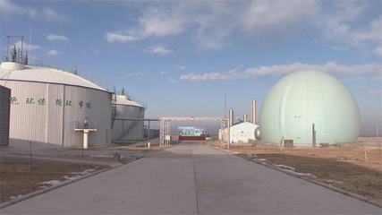 【奮進新征程 建功新時代】高臺:企業(yè)產銷旺 虎年“虎勁”足