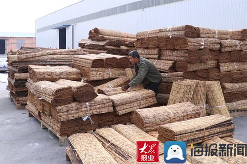 年味里看發(fā)展⑨ 立足產業(yè)特色 持續(xù)做優(yōu)做強 無棣縣水灣鎮(zhèn)成為 全國最大的葦簾加工出口基地