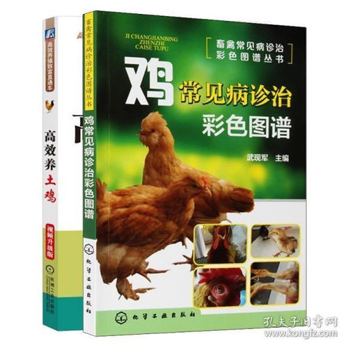 正版 雞常見病診治彩色圖譜 高效養(yǎng)土雞視頻升級版常見病診治彩色圖譜 養(yǎng)雞科學養(yǎng)殖技術教程大全土雞自學入門教程