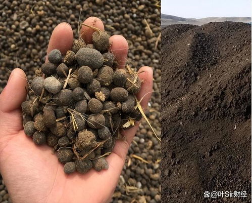 農業農村部 禁止牛羊糞直接還田,農管先從治理畜禽糞便開始