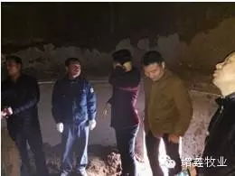 增鑫牧業(yè)赴韓國(guó)ymi公司學(xué)習(xí)交流報(bào)道