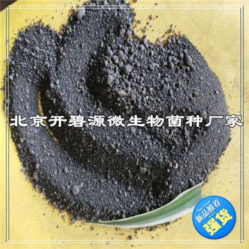 【養(yǎng)殖廢水處理菌種價位荊門國標菌種】-