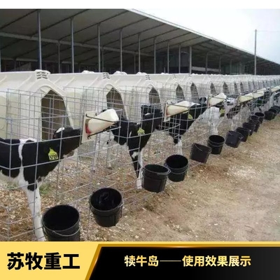 蘇牧重工小牛戶外飼喂犢牛島 隔熱防潮單獨喂養(yǎng)小牛舍犢牛籠
