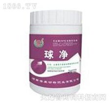 球凈 主治雞冠蒼白 下痢 西紅柿醬樣糞便 產(chǎn)品圖片