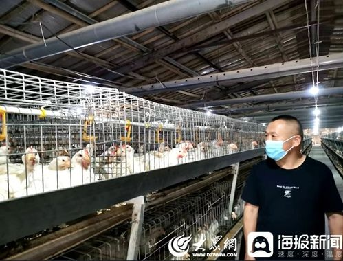 人病獸防 關口前移 臨沂河東區 無疫區 建設為畜禽產品把好關