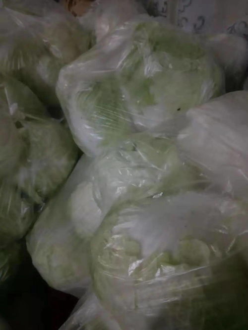 新鮮草莓 香油 白菜 笨鴨子......這些農(nóng)產(chǎn)品急需收購(gòu) 丨助農(nóng)直通車 第二十三期