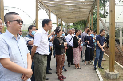 全省農作物秸稈綜合利用重點縣建設推進會在游仙區(qū)召開