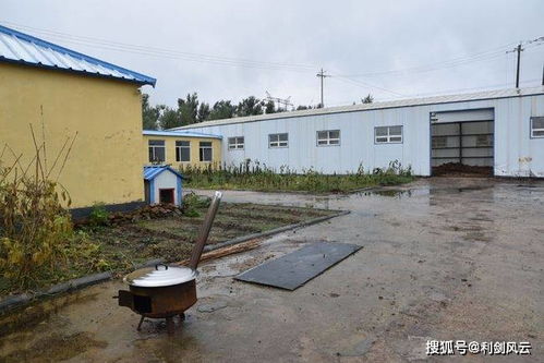 吉林梨樹縣 環保項目被撂荒 堆肥處理廠變 糞便堆放場