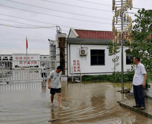 防汛抗災 區農業農村局 抓好防汛救災 確保農業豐收