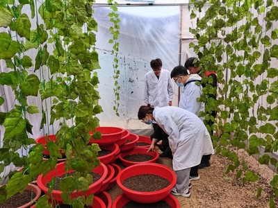 深化實施“千萬工程”,“虻虻噠”助力畜禽產業鄉村振興