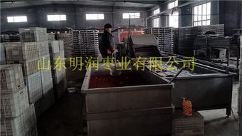 山東新疆和田玉棗批發(fā)價(jià)格信息